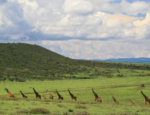 Nieuwe Tweega nascholing naar Tanzania