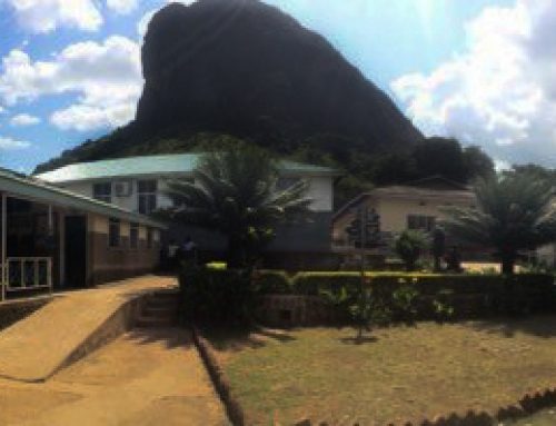Een kip kado! Ambrosoli Memorial Hospital, Kalongo, Oeganda