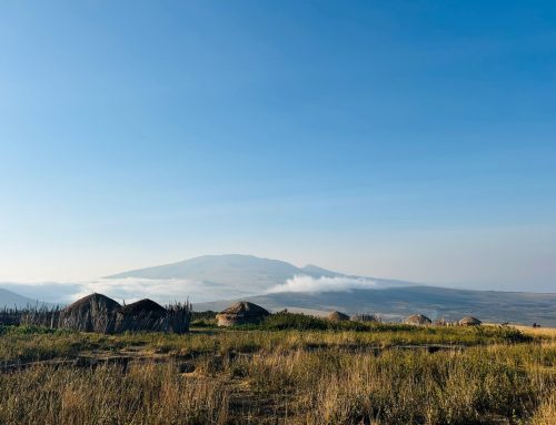 Duo-vacature Endulen Hospital Tanzania